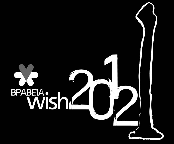  WISH 2013